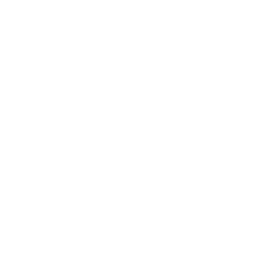 Parachute Icon